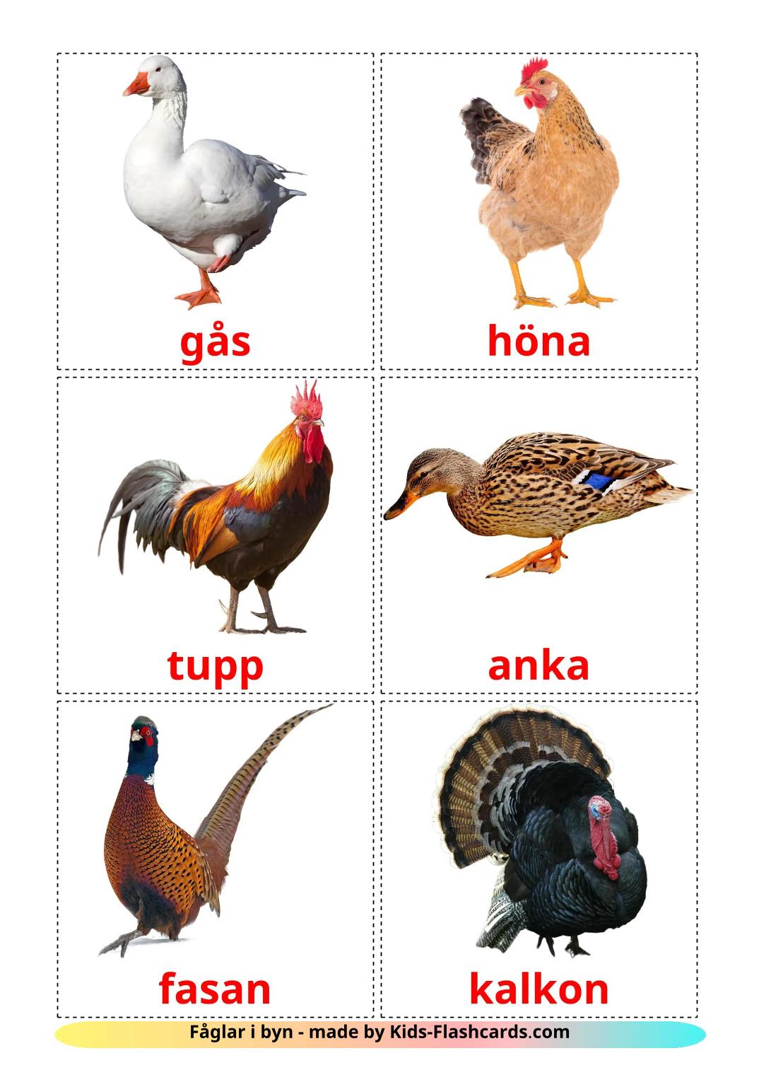 Farm birds - 12 Free Printable swedish Flashcards 