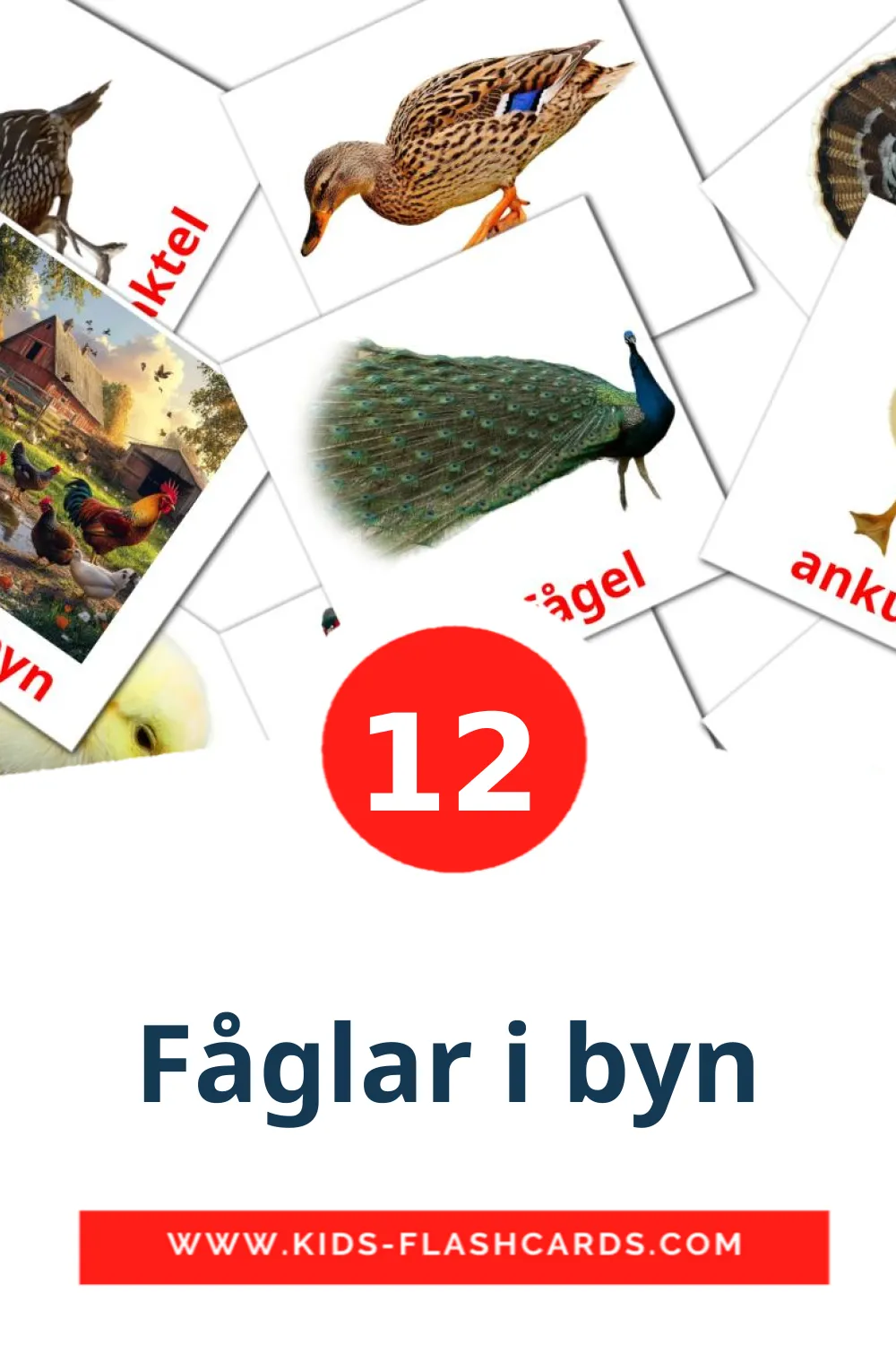 12 Fåglar i byn Picture Cards for Kindergarden in swedish