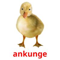 ankunge card for translate