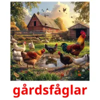 gårdsfåglar billedkort for børn med billeder