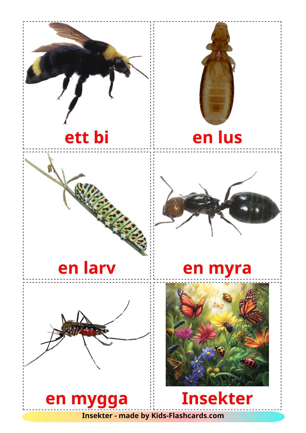 Insectos - 24 fichas de sueco para imprimir gratis 