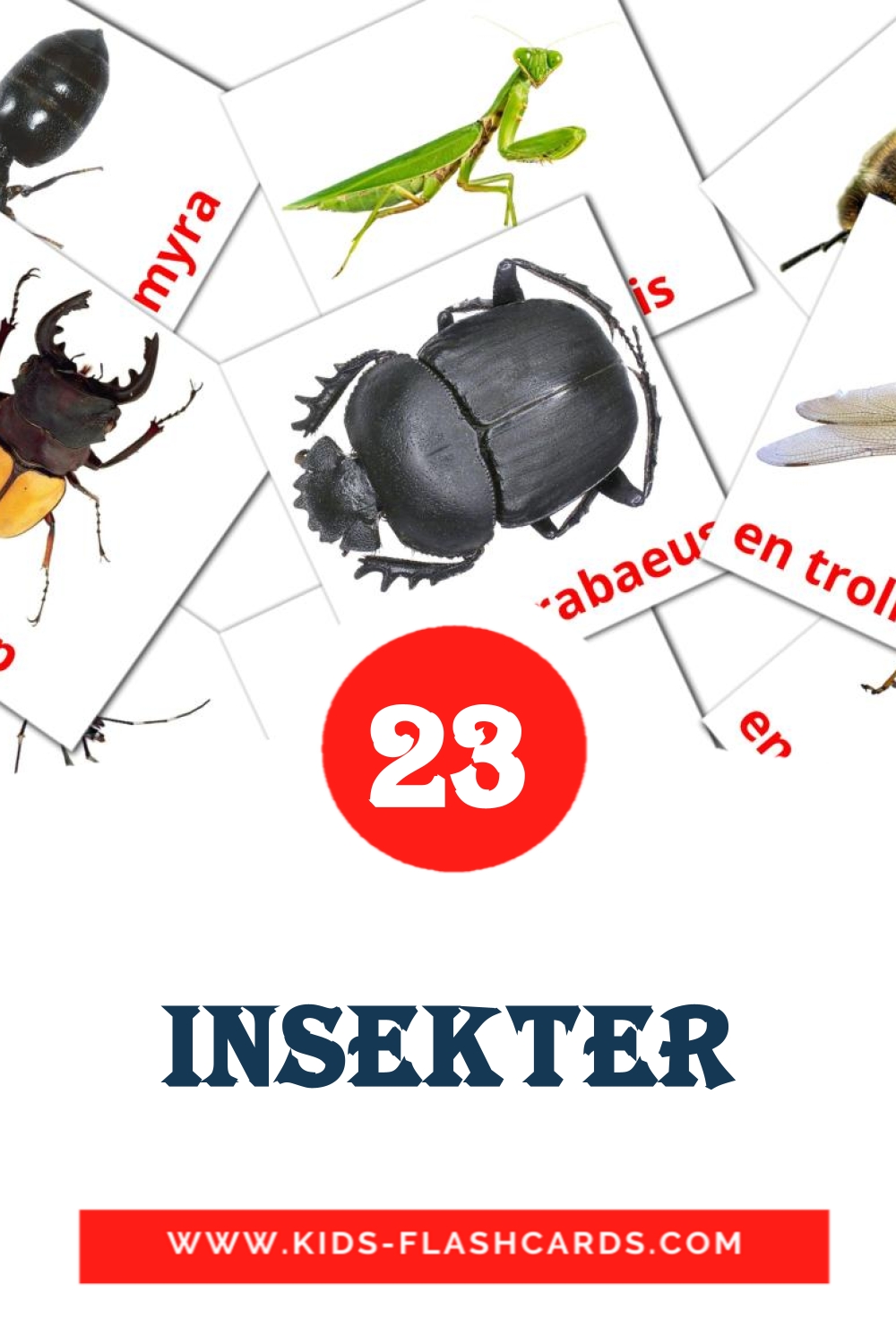 23 Insekter Picture Cards for Kindergarden in swedish