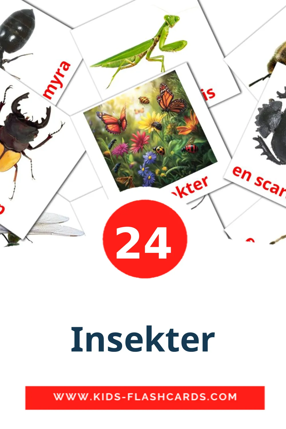 24 tarjetas didacticas de Insekter para el jardín de infancia en sueco