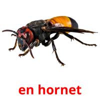 en hornet card for translate
