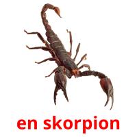 en skorpion card for translate