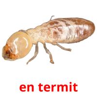 en termit card for translate