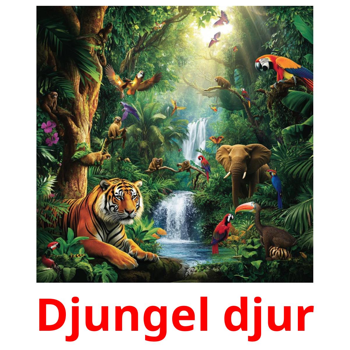 Djungel djur flashcards illustrate