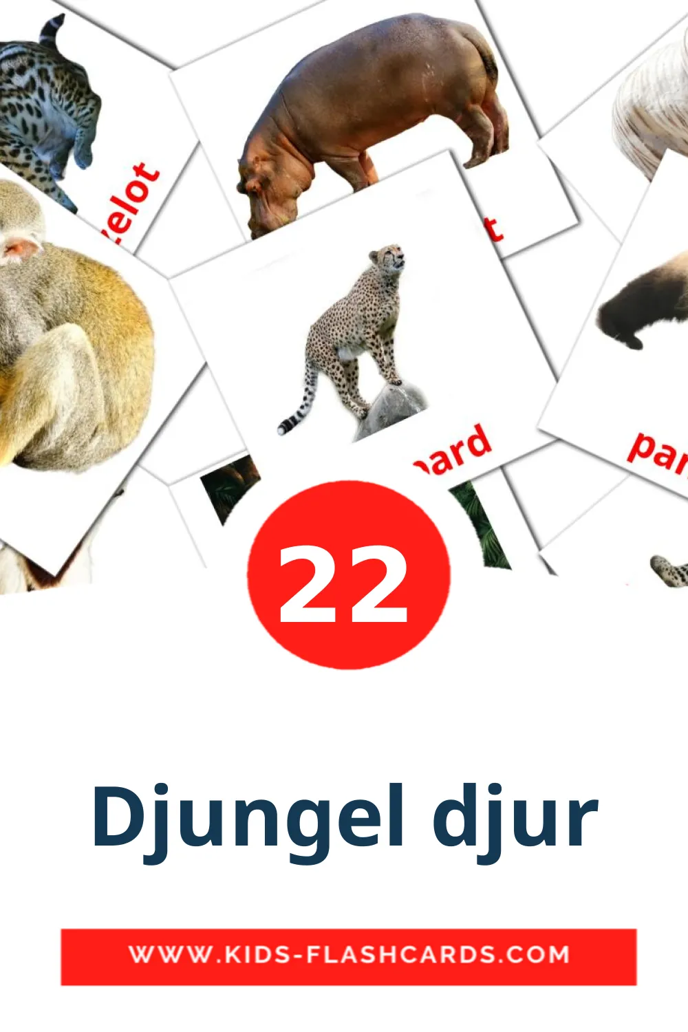 22 Djungel djur fotokaarten voor kleuters in het suédois