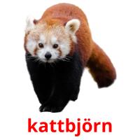 kattbjörn card for translate