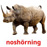 noshörning picture flashcards