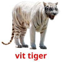 vit tiger card for translate