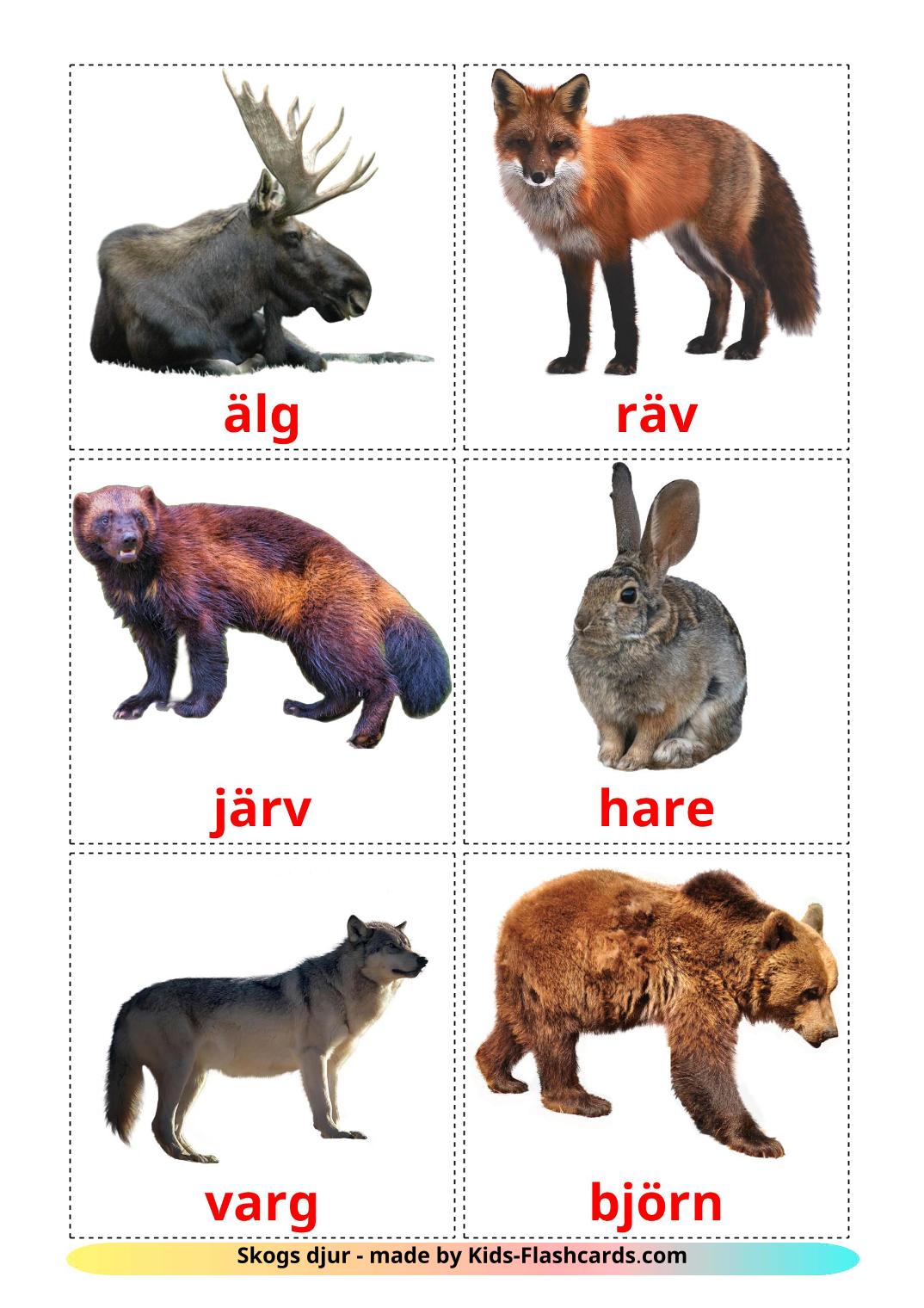 Animali della foresta - 22 flashcards svedese stampabili gratuitamente
