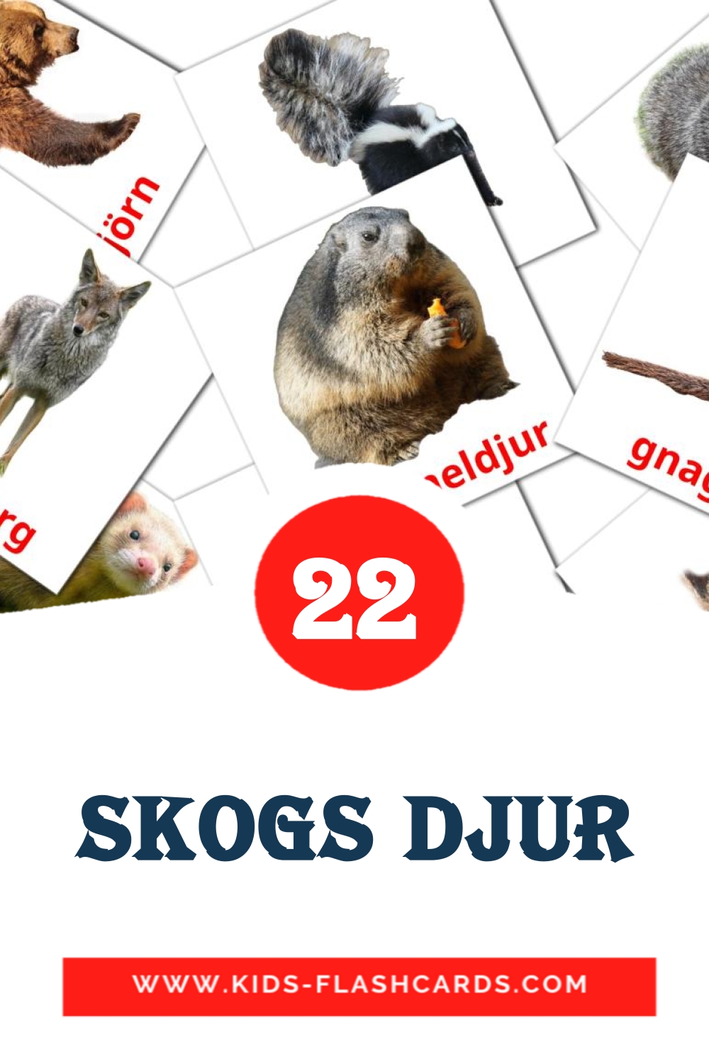 22 carte illustrate di Skogs djur per la scuola materna in svedese