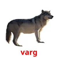 varg cartões com imagens