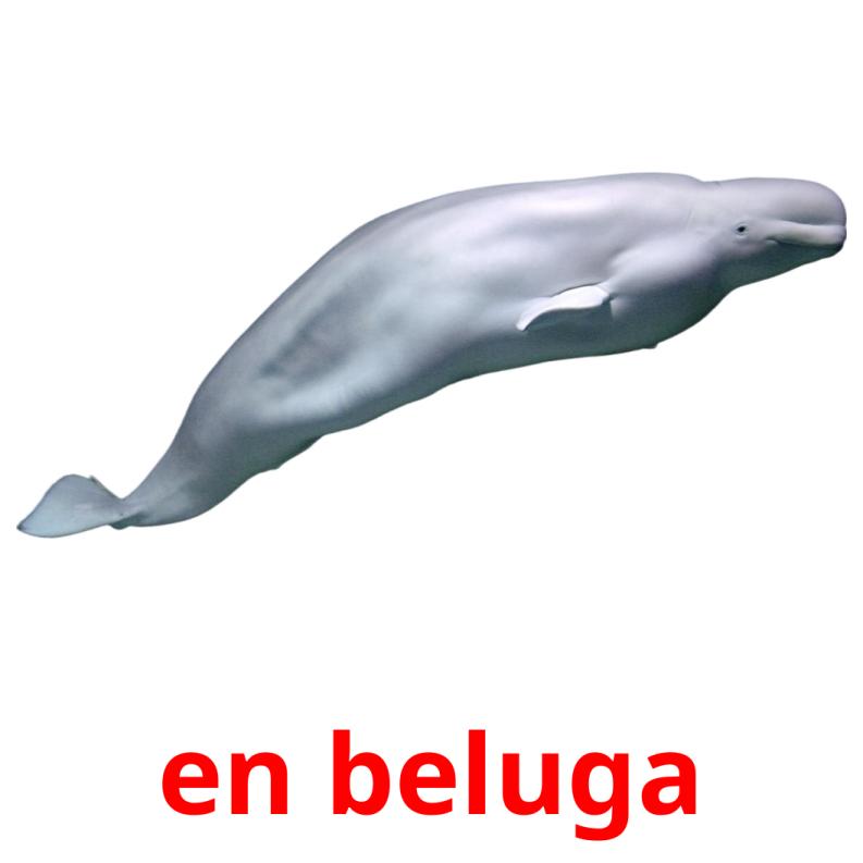 en beluga карточки энциклопедических знаний