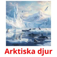 Arktiska djur picture flashcards