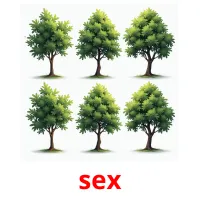 sex flashcards illustrate