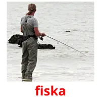 fiska cartões com imagens