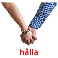 hålla picture flashcards