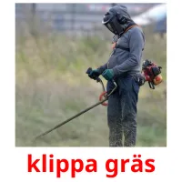 klippa gräs cartões com imagens