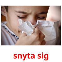 snyta sig picture flashcards