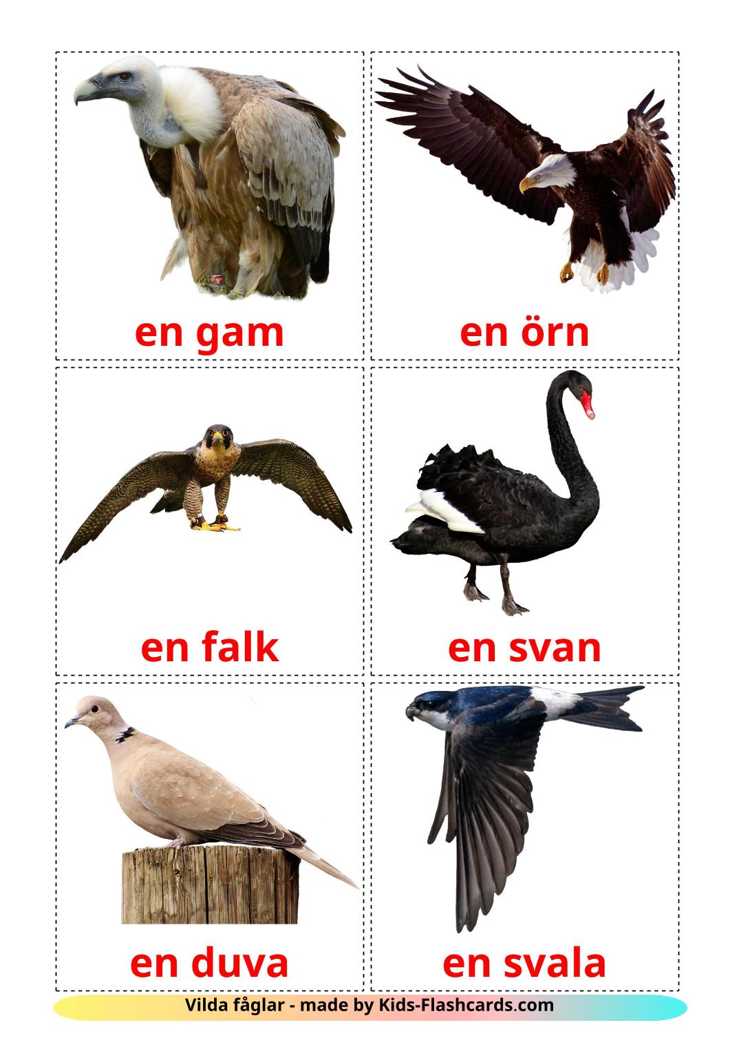 Les Oiseaux Sauvages - 18 Flashcards suédois imprimables gratuitement