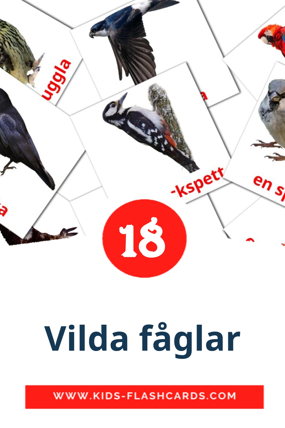 18 carte illustrate di Vilda fåglar per la scuola materna in svedese
