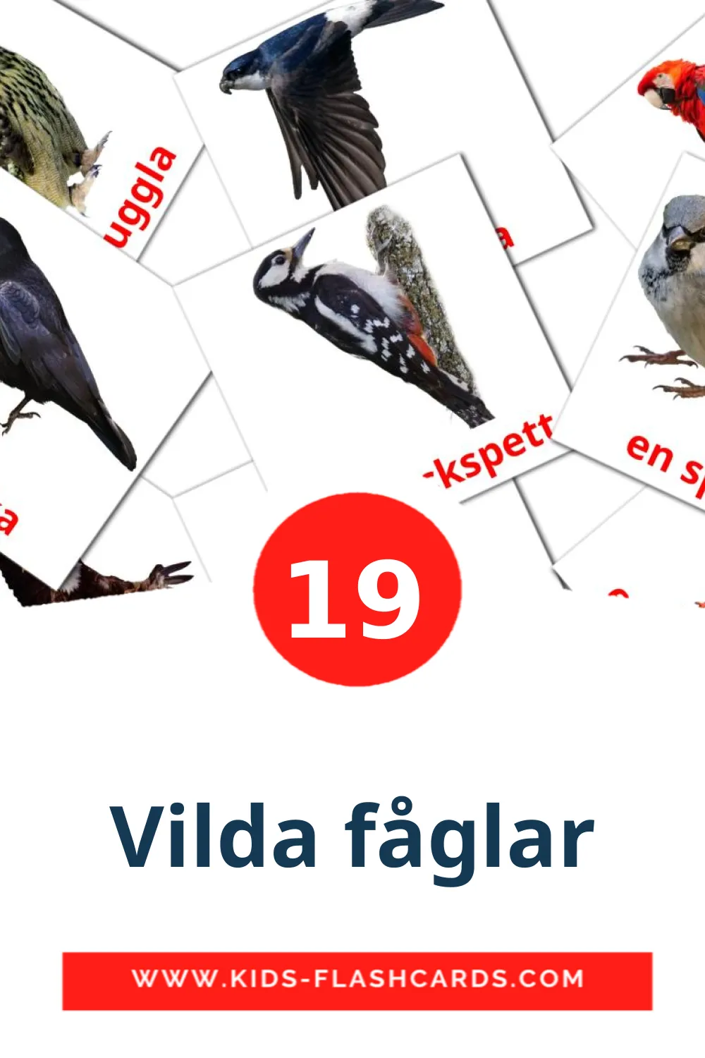 19 tarjetas didacticas de Vilda fåglar para el jardín de infancia en sueco