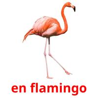 en flamingo ansichtkaarten