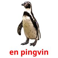 en pingvin cartes flash