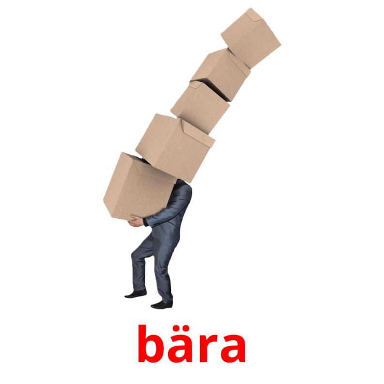 bära picture flashcards