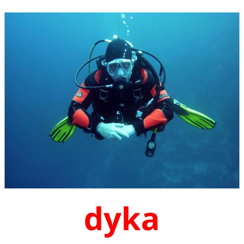 dyka flashcards illustrate