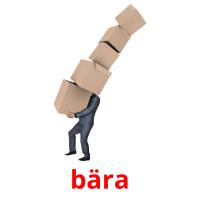 bära picture flashcards