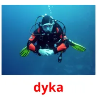 dyka Tarjetas didacticas