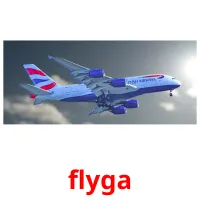 flyga cartões com imagens