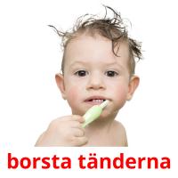 borsta tänderna card for translate