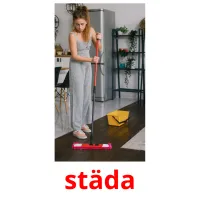 städa Bildkarteikarten