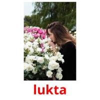lukta picture flashcards