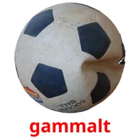 gammalt Bildkarteikarten