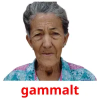 gammalt Bildkarteikarten