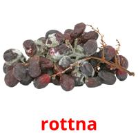 rottna picture flashcards