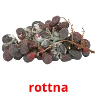 rottna Bildkarteikarten