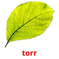 torr picture flashcards