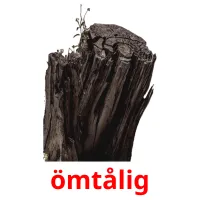 ömtålig Bildkarteikarten