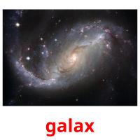 galax Bildkarteikarten
