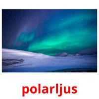 polarljus picture flashcards