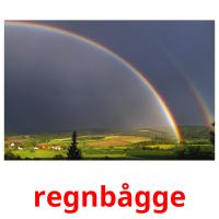 regnbågge picture flashcards
