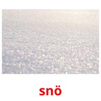 snö picture flashcards