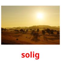 solig picture flashcards