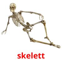skelett Tarjetas didacticas